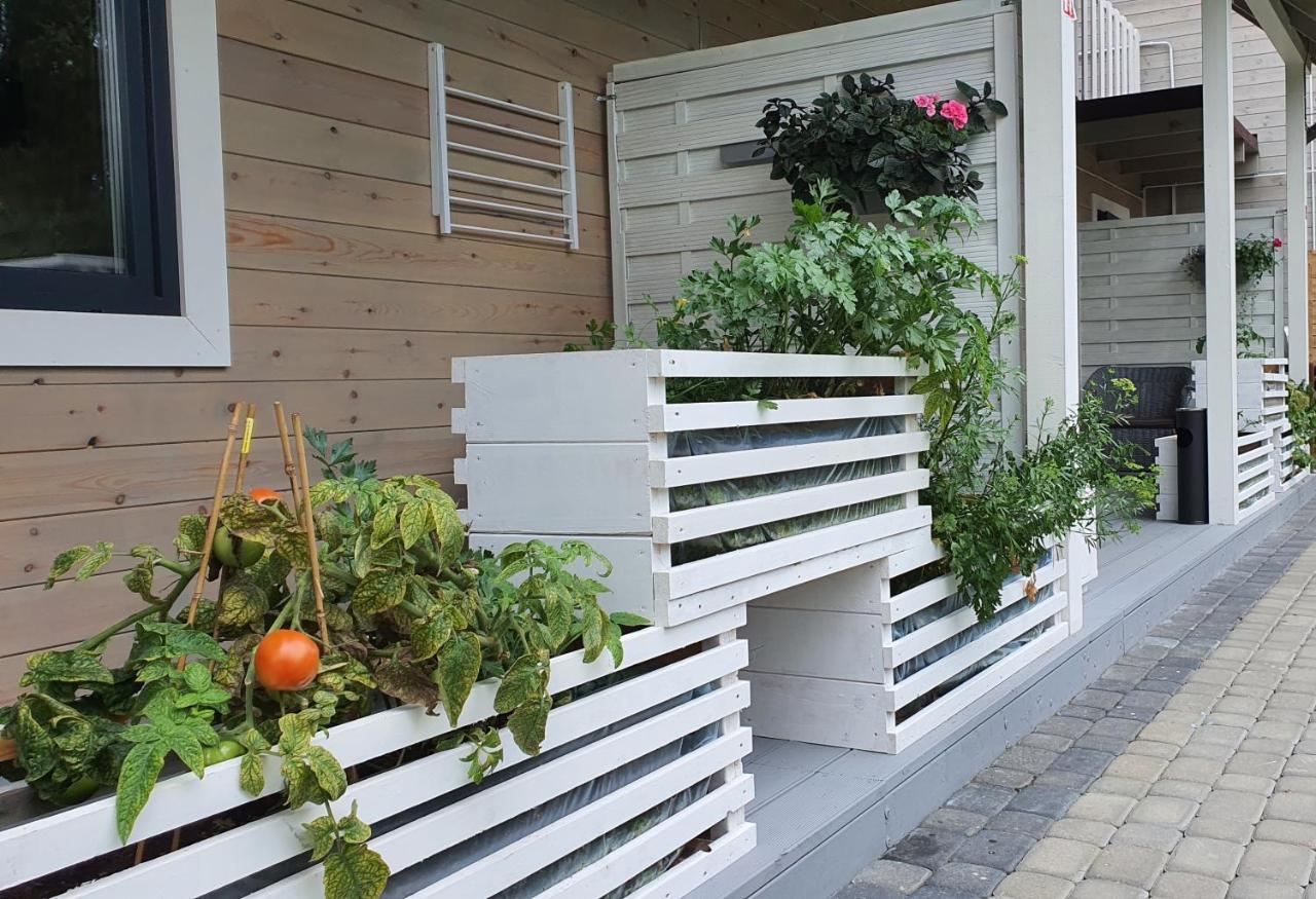 Ekosfera Pilawa Apartment Borne Sulinowo Exterior foto