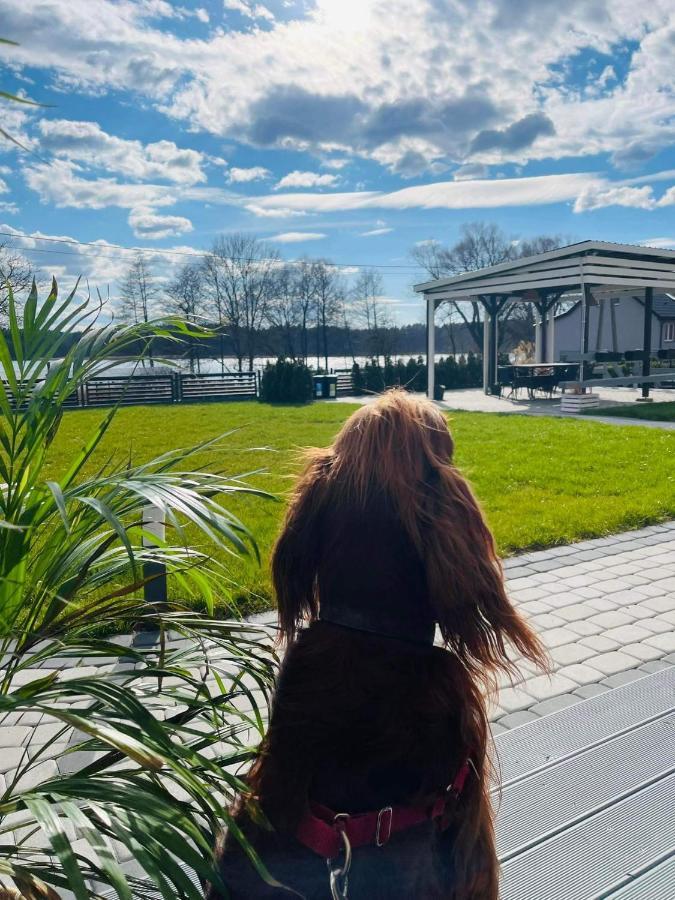 Ekosfera Pilawa Apartment Borne Sulinowo Exterior foto
