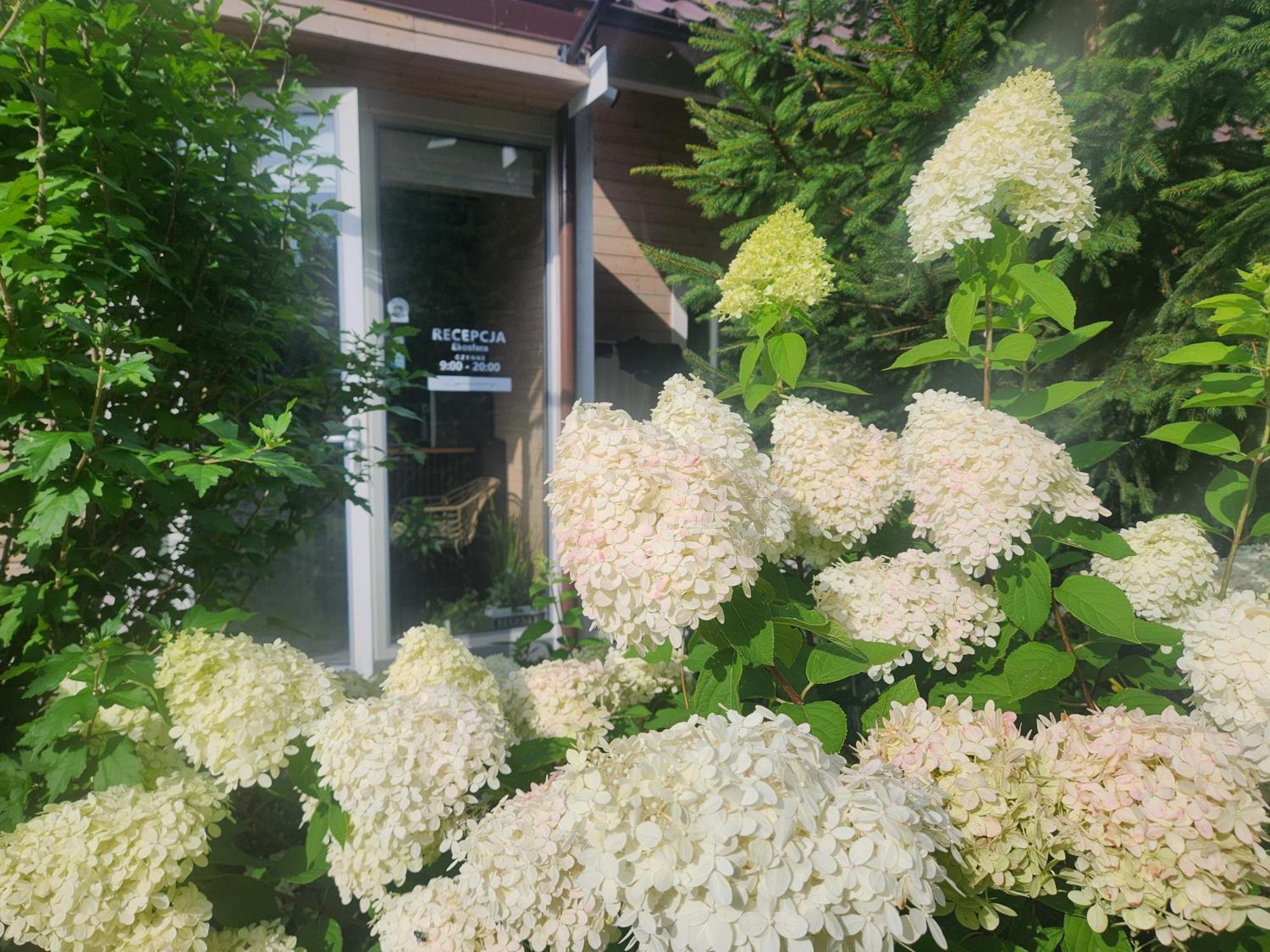 Ekosfera Pilawa Apartment Borne Sulinowo Exterior foto